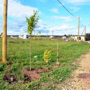 Земельный участок 10 сот ДНП в деревне Рыбицы (Гатчинский)