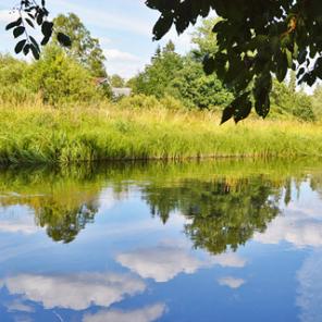Земельный участок 10 сот ДНП в деревне Рыбицы (Гатчинский)