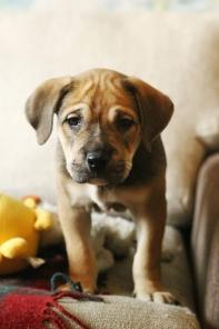 ����� �� �� ��