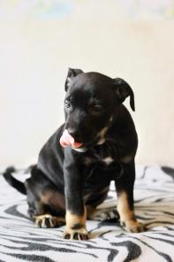 ����� �� �� ��