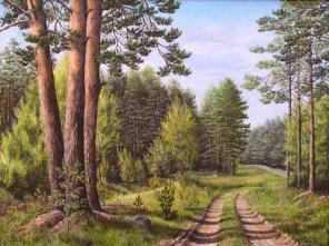 Участок 200 соток