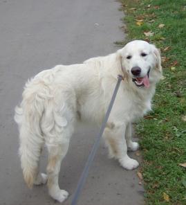 ����� ������ ��������� ������ � ������� ����