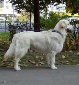 ����� ������ ��������� ������ � ������� ����