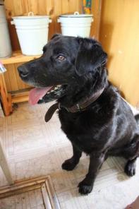 �� ���� ������� �����!