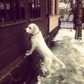 ������� ������ ����� ���� ������������� ����.