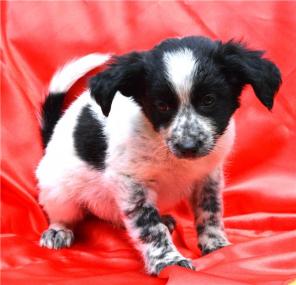 �������������� ����� �����. 2 ���.