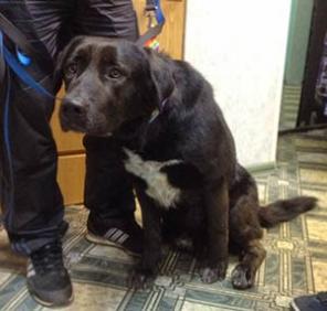 ���� ������� �����!