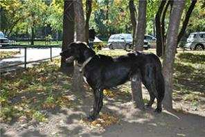 ���� ������� �����!