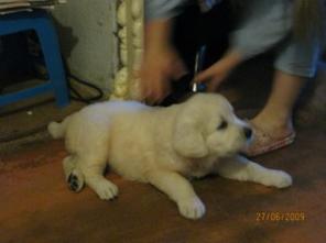 �����  "����� �������"