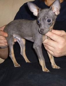 ���� ��������� �������� ��� ������� �-� ������