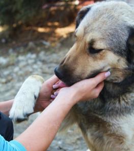 ��� ������ ���� � ������ ������! ������� ������� ������ � ���.