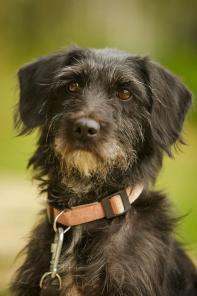 �������� ����� ���� ���.