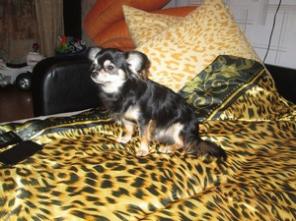 ������� ������ !