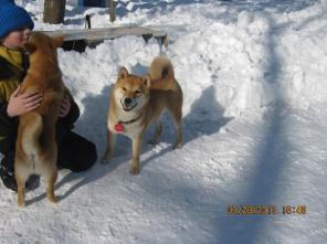 ���� ��� ( ���� ���) ���������  �����  ���������