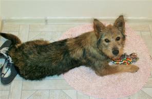 ��������� ������� ������� � ���!