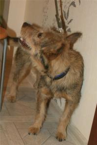 ��������� ������� ������� � ���!