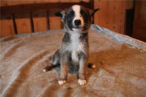 ����� ������� � ���!