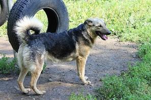 ��������, ������� ������� � ���, � ������ ����