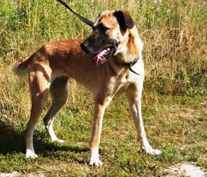 ������ -����� ������� ������� ������ � ���