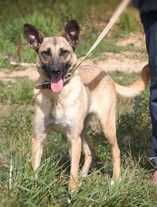 �������� � ������������� ������ � ���