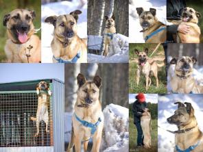 �������� � ������������� ������ � ���