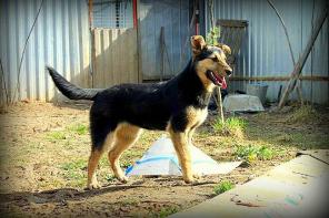 ������������� ����� ���� �����