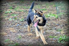 ������������� ����� ���� �����