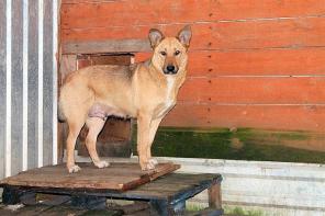 ���� � ����������� ��������� ������� � ���