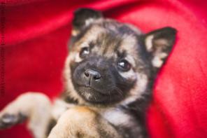 ���� ��� ����������� ������� 1,5 ������