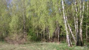 Участок 8.9 сот. (СНТ, ДНП) КП "Старые Кузьменки"