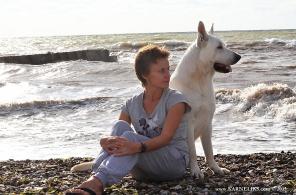 ����� ����� ����������� �������