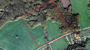 Участок 31Га