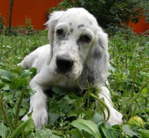 ���������� ������ �����