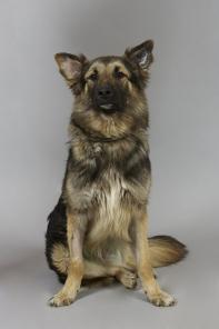 ������ � ������, ������������� ����