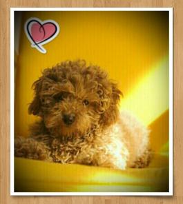 ����������� �������� �������� ���� ���������� ���������