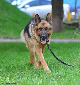 ������������� �������� ��� ���� ���� ���.