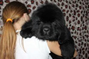 ����� �������������