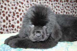 ����� �������������