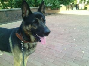 ���� ��� �������� ����� ���