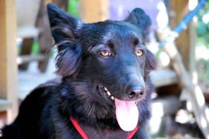 �������������� ������� ����, 9 �������