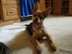 ����� �������� � ���