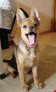 ����� �������� � ���