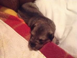 ����� � ������ ����!