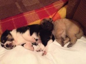 ����� � ������ ����!