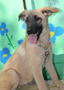 ��������� �����, ����������� � ���������� ������� ������� � ������ ����