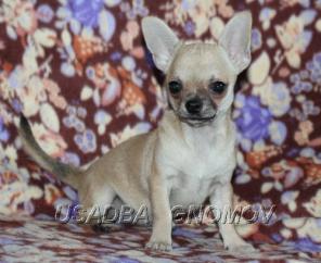 �������� �����