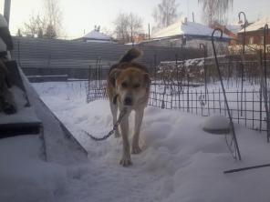 �������� �����