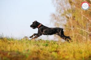 ��������� ������ ����� ������ ������������ �����