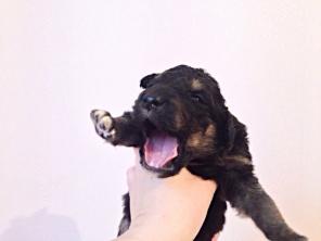 �������� � ��� �����, ������ �������.