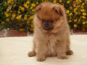 ������������ ����� ������